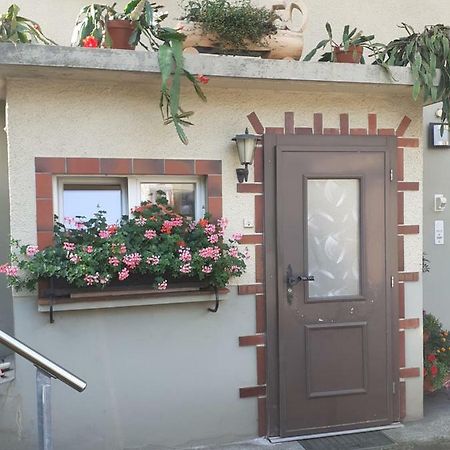 Wohnung Wohlensee Hinterkappelen Dış mekan fotoğraf